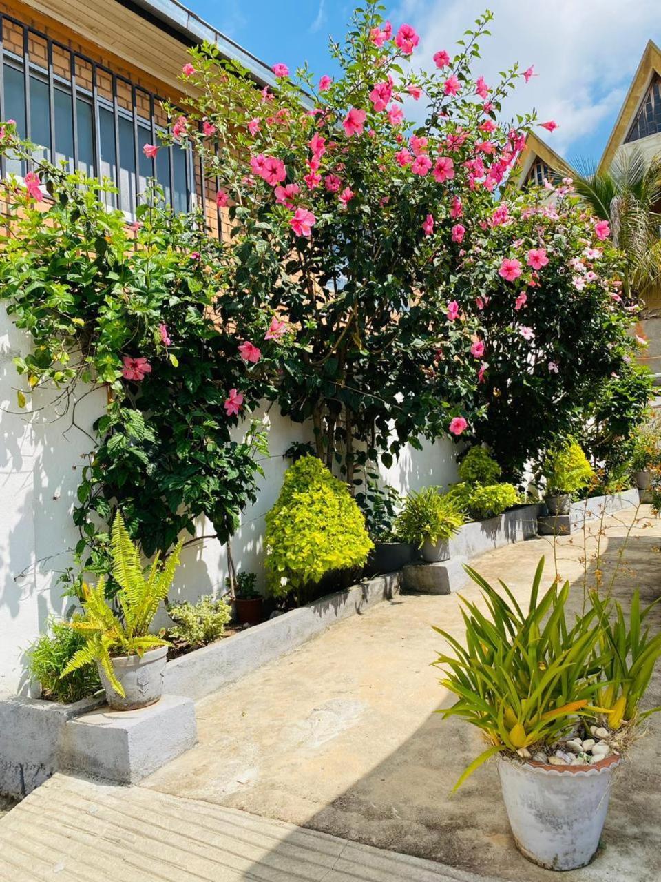 Chez Jeanne Chambre D'Hote Antananarivo Exterior photo